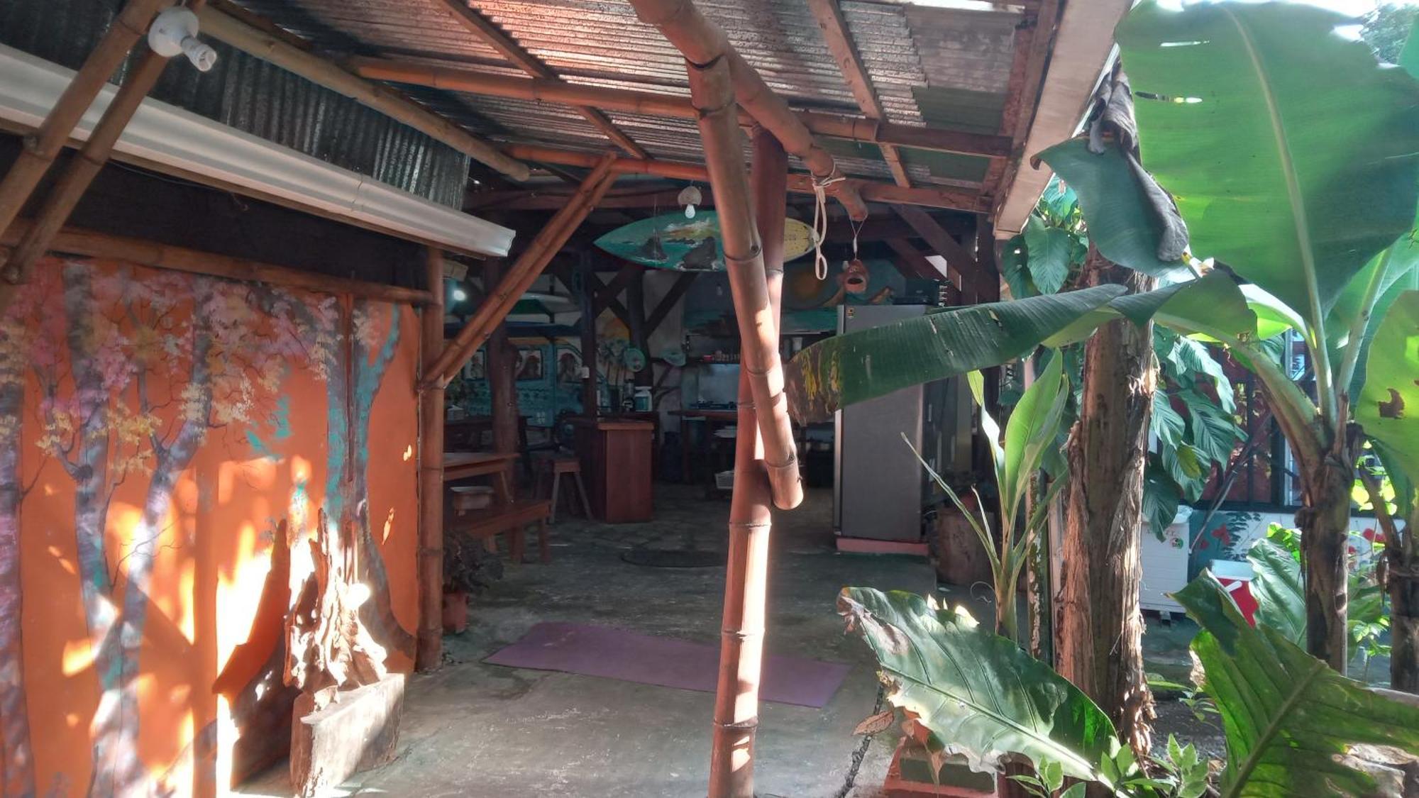 Osa Surf House Hotel Puerto Jiménez Buitenkant foto
